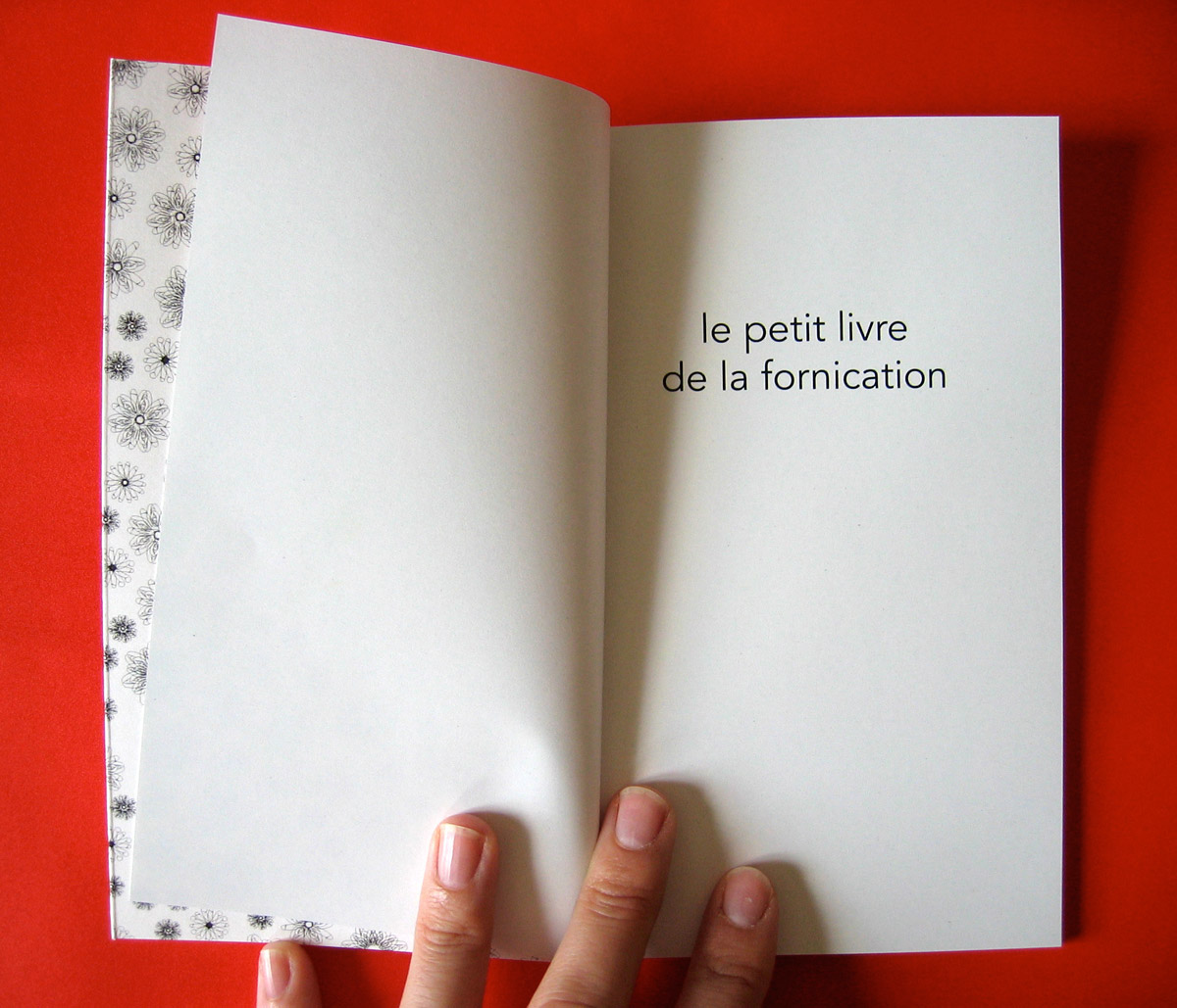 Le petit livre de la fornication 