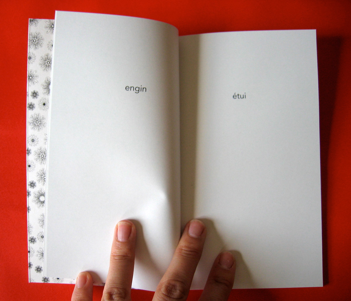 Le petit livre de la fornication 