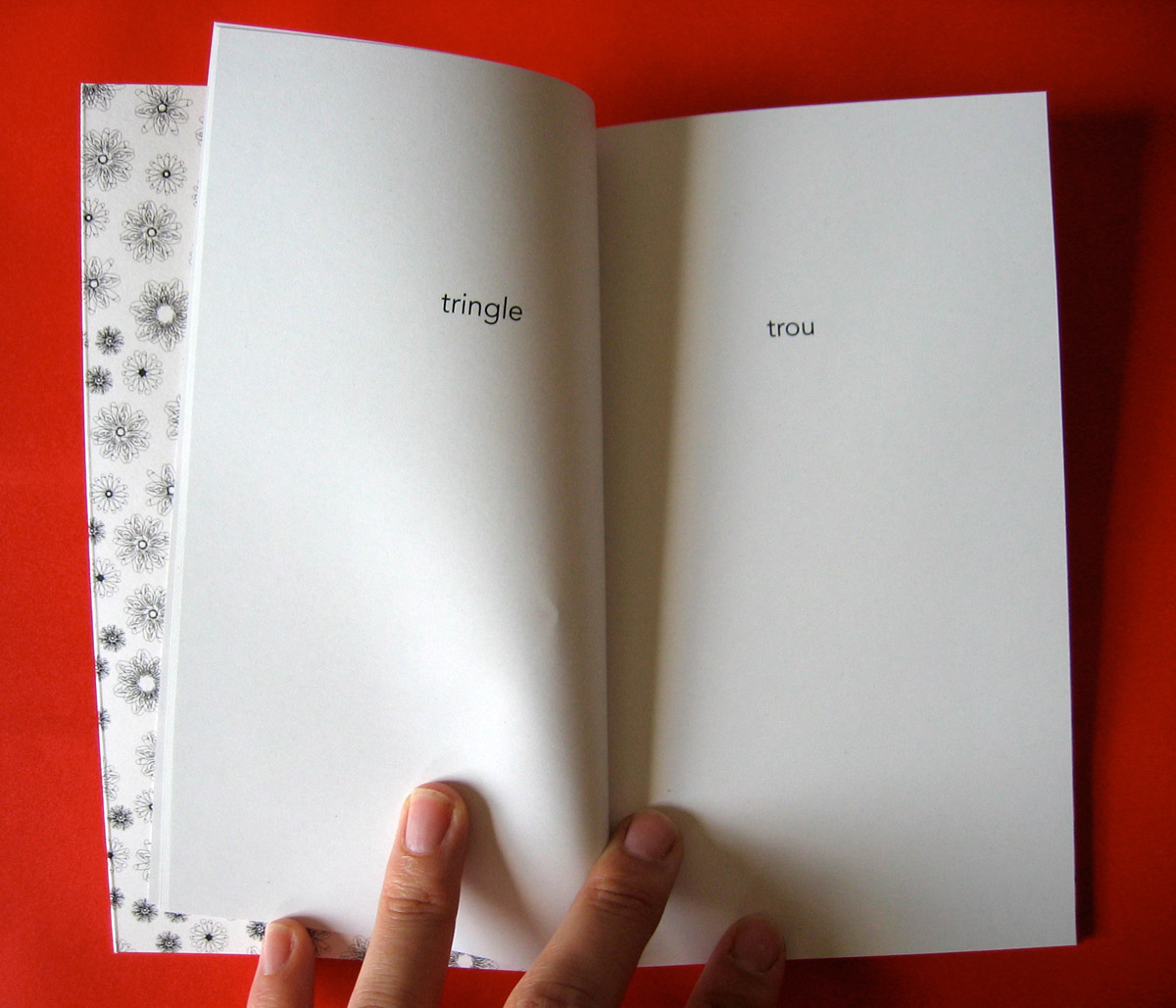 Le petit livre de la fornication 