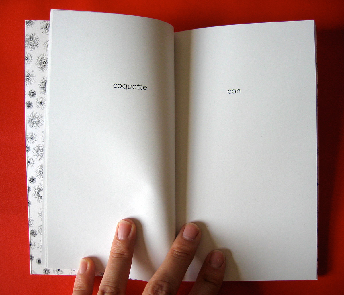 Le petit livre de la fornication 