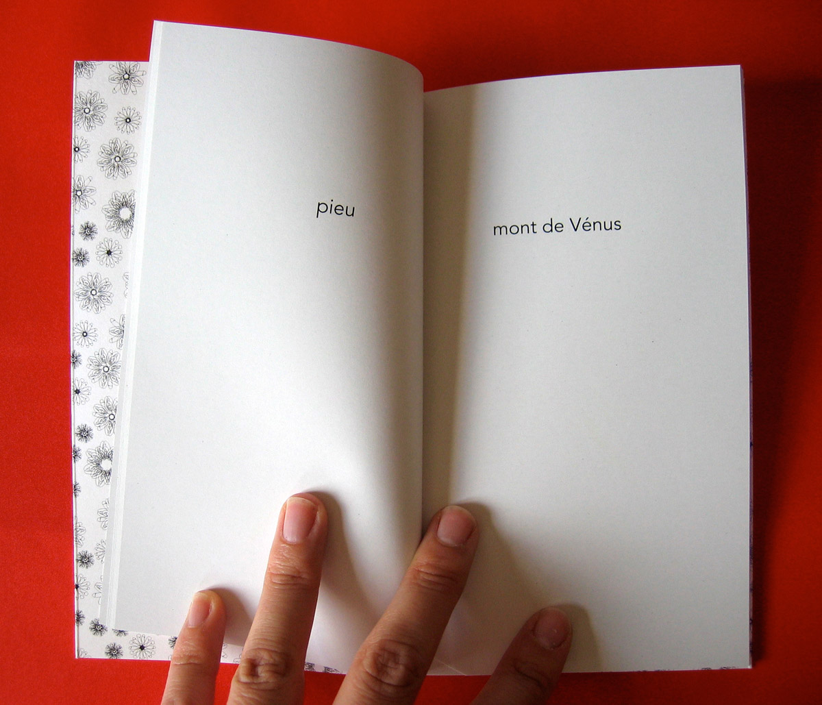 Le petit livre de la fornication 