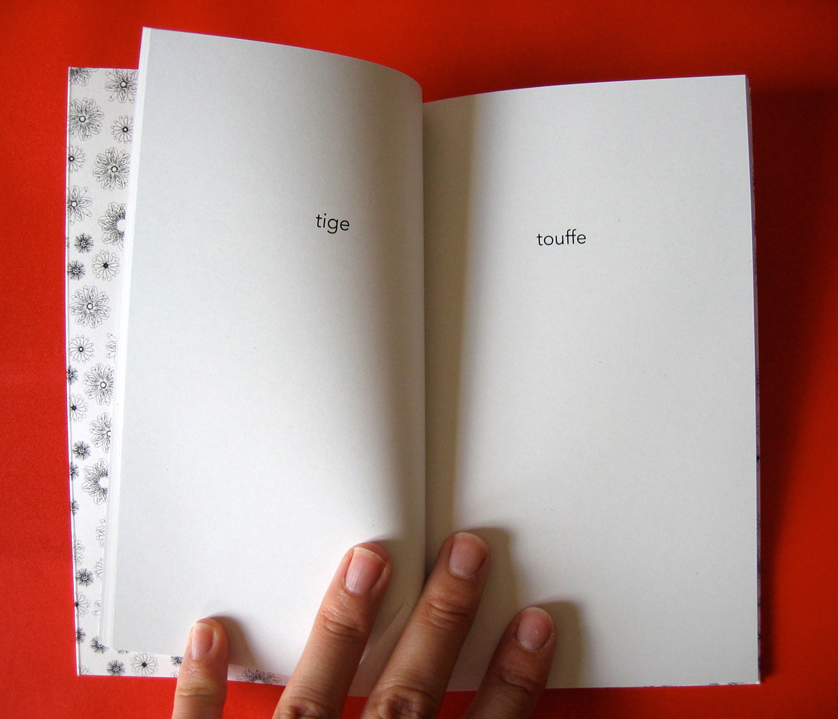 Le petit livre de la fornication 