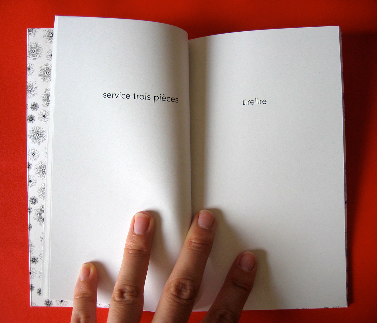 Le petit livre de la fornication 