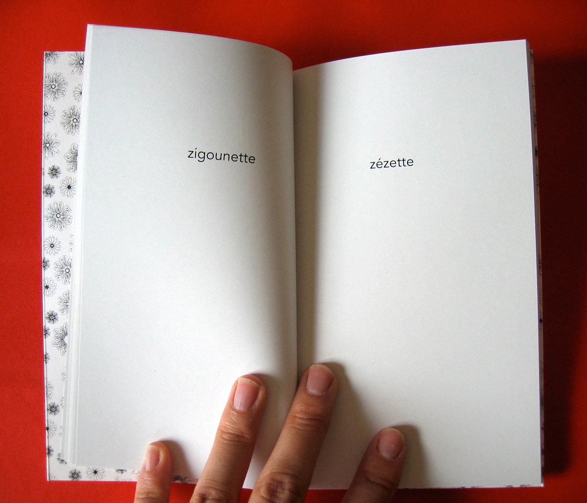 Le petit livre de la fornication 