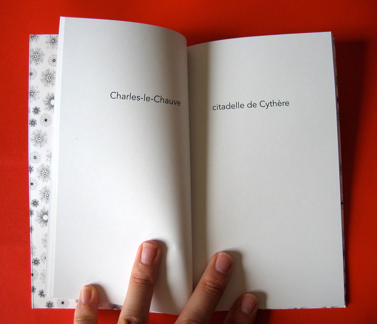 Le petit livre de la fornication 