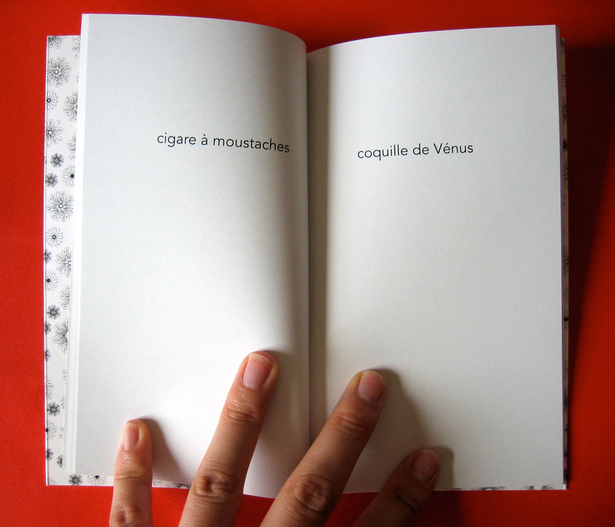 Le petit livre de la fornication 