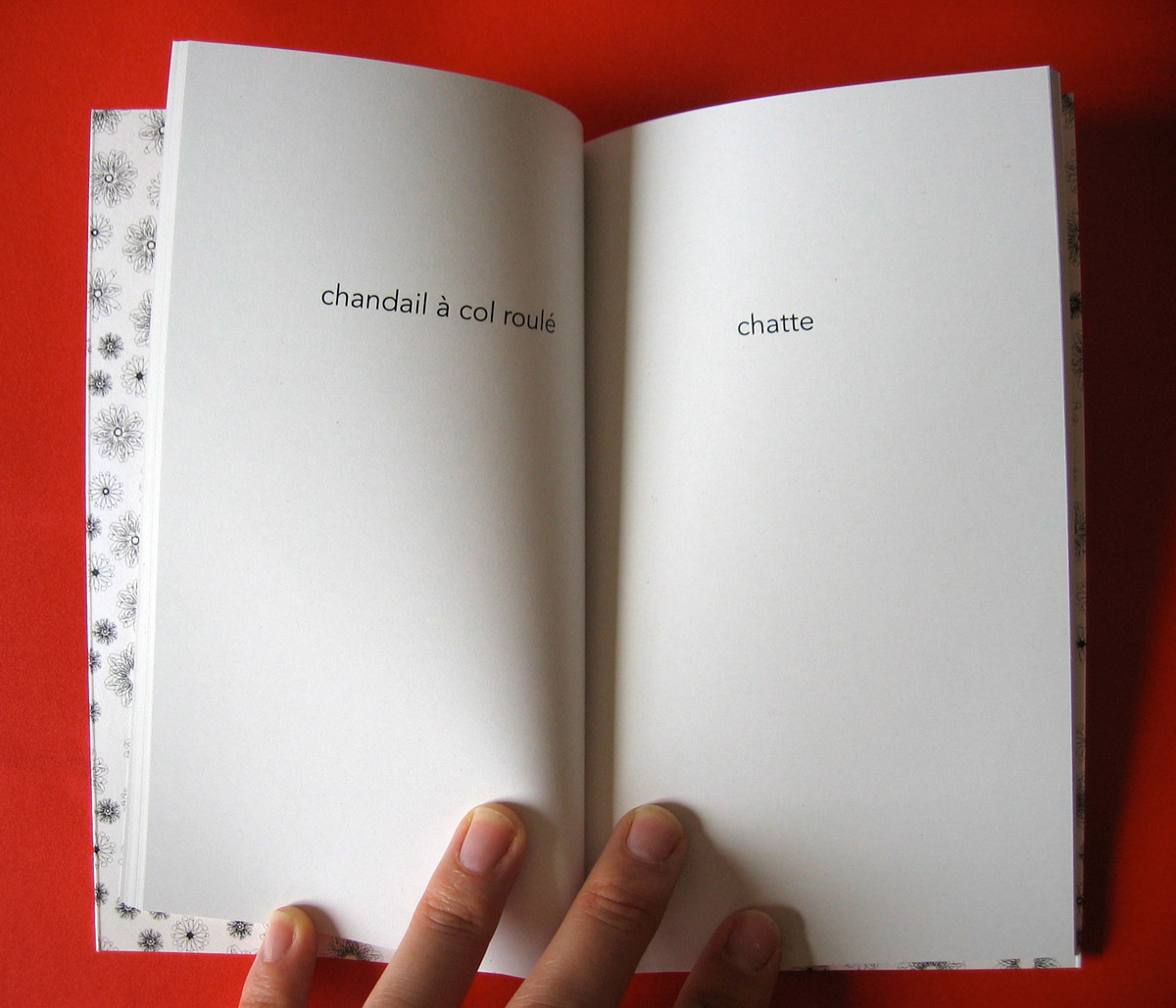 Le petit livre de la fornication 