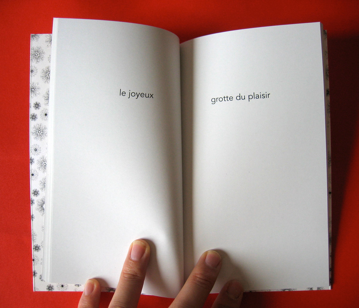 Le petit livre de la fornication 