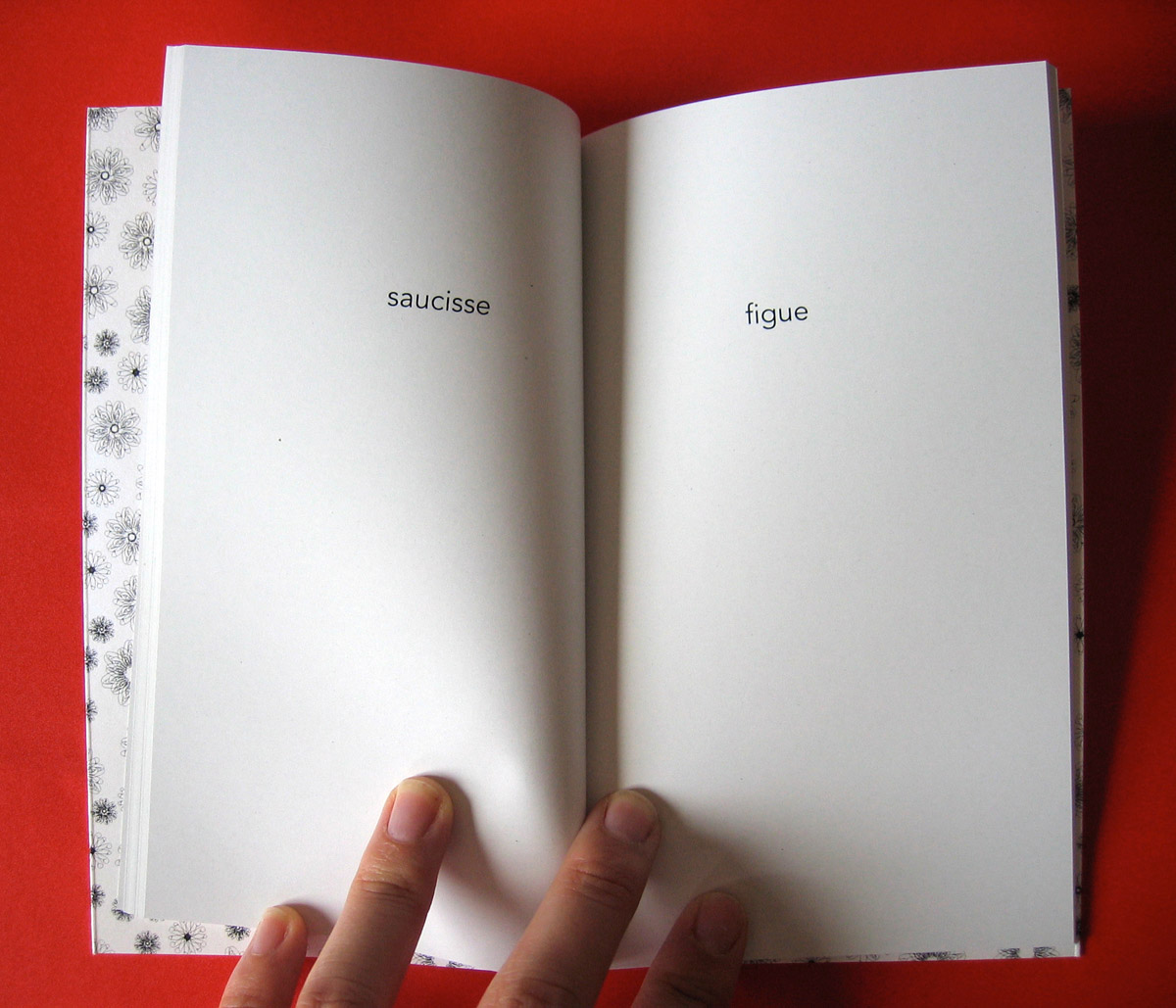 Le petit livre de la fornication 