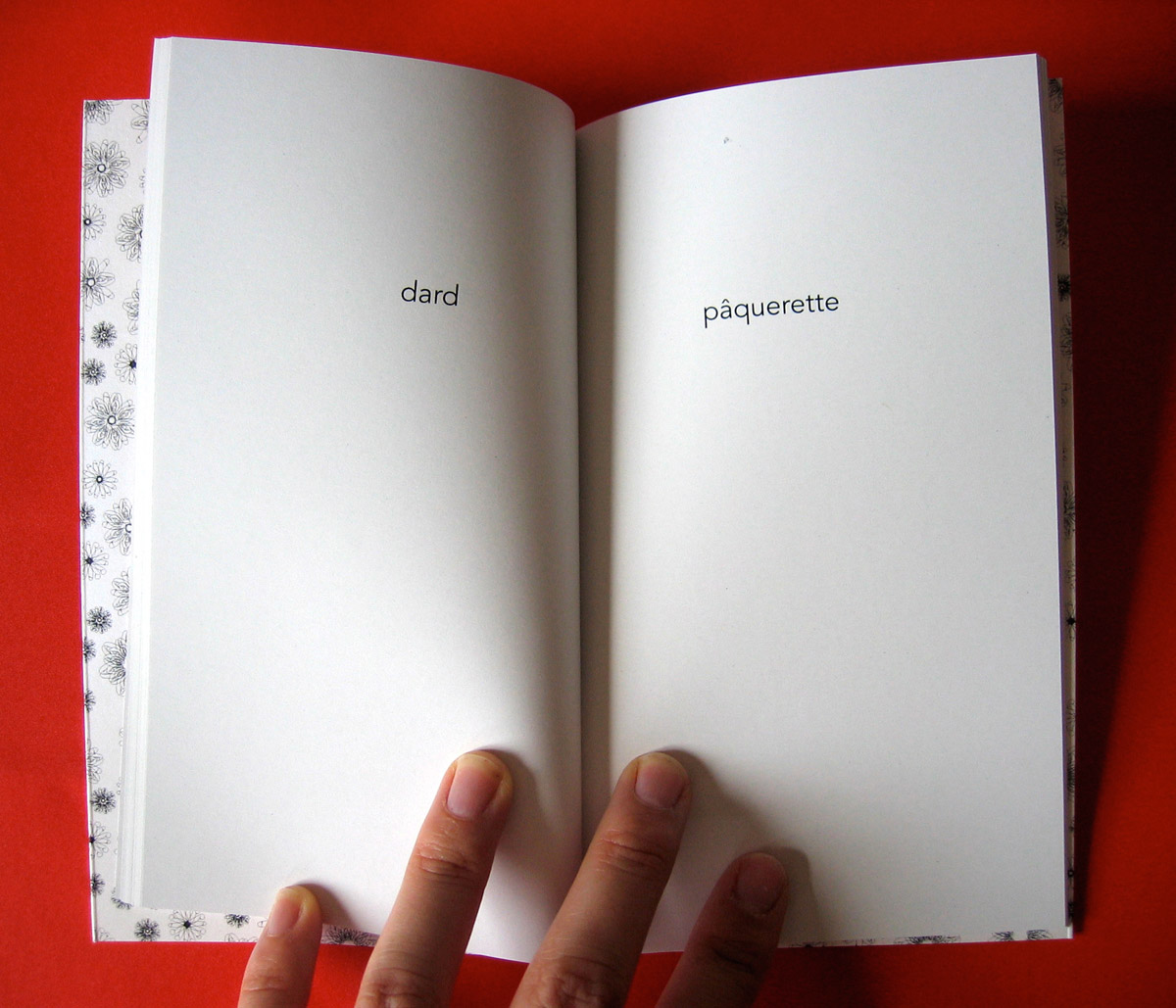 Le petit livre de la fornication 