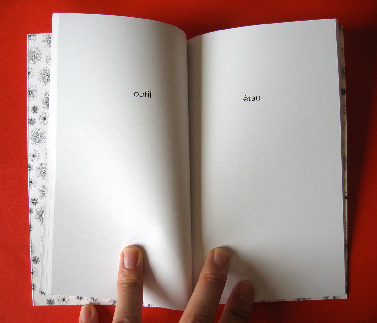 Le petit livre de la fornication 