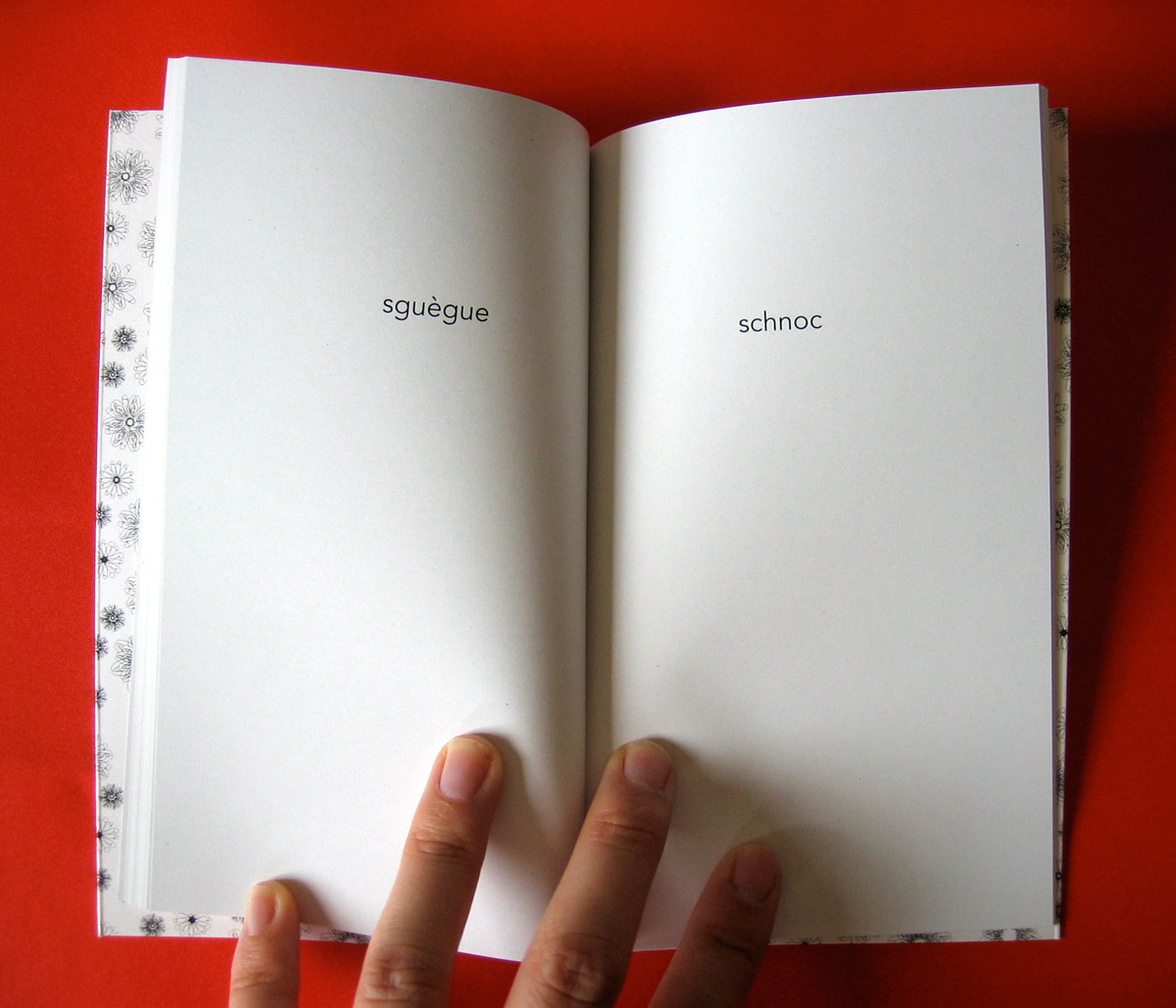 Le petit livre de la fornication 