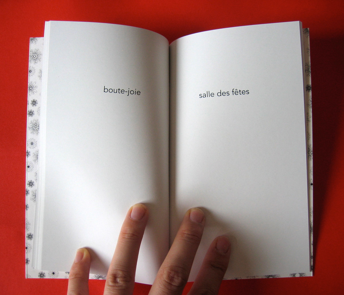 Le petit livre de la fornication 