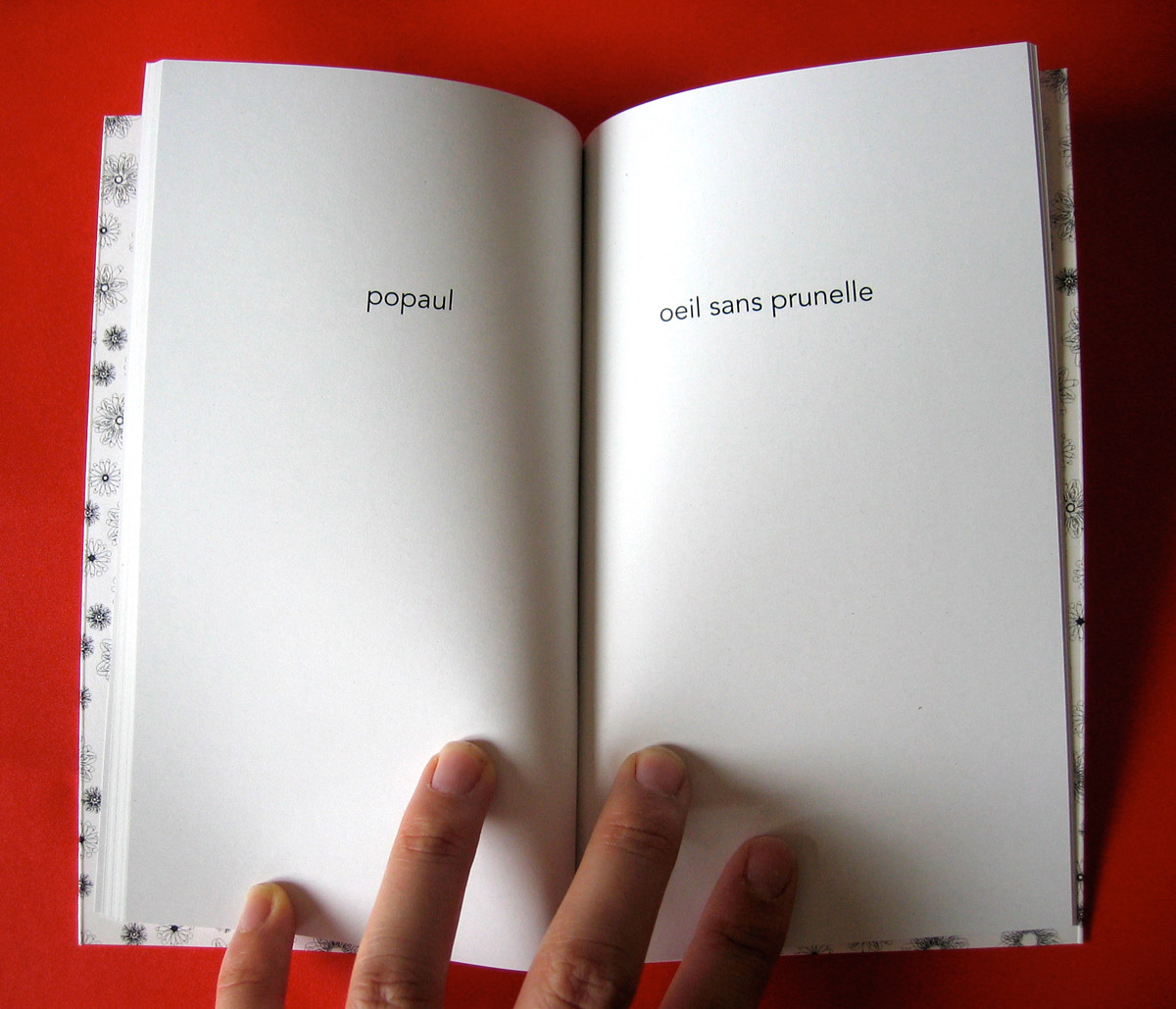 Le petit livre de la fornication 