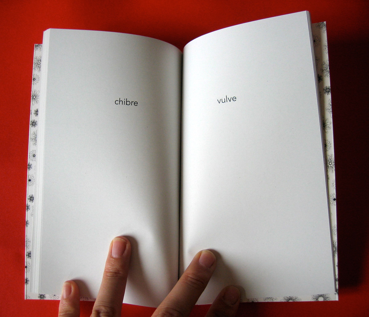 Le petit livre de la fornication 