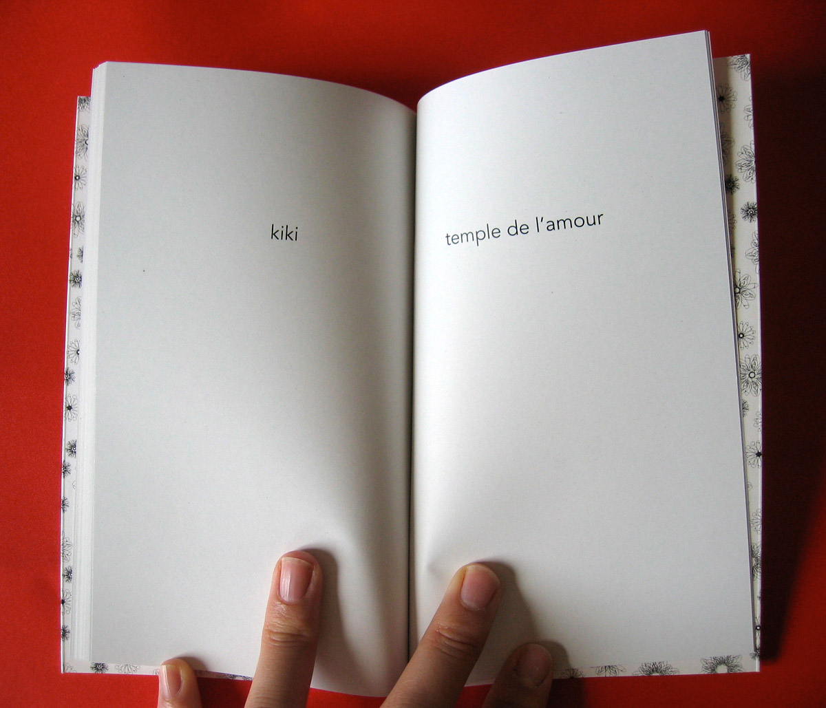Le petit livre de la fornication 