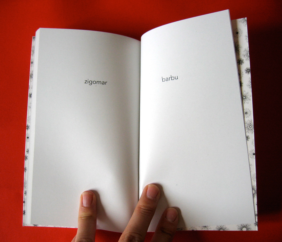 Le petit livre de la fornication 