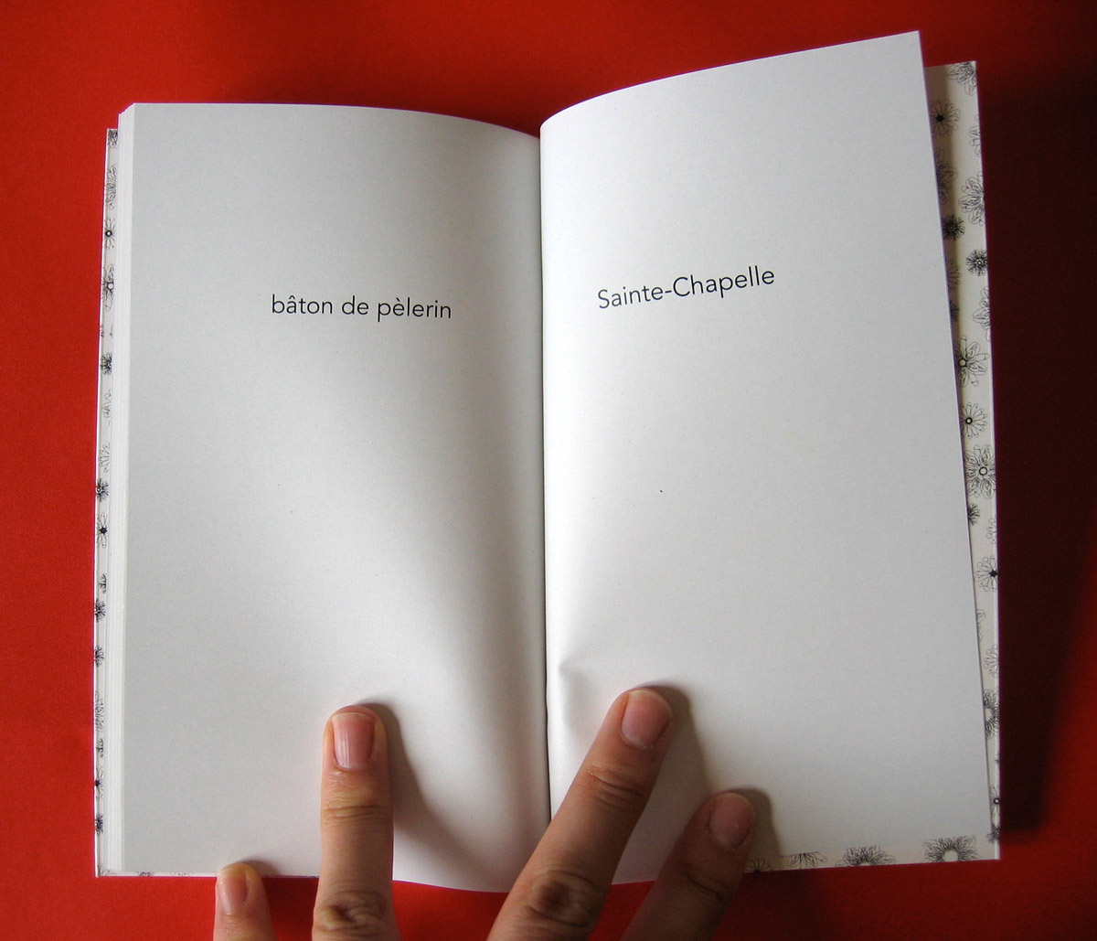 Le petit livre de la fornication 