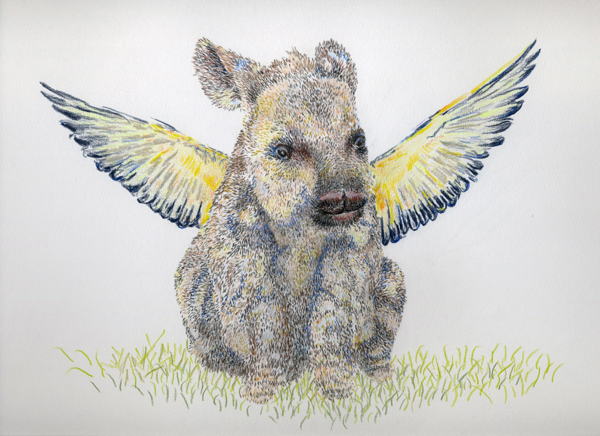 Alutus tapirus
