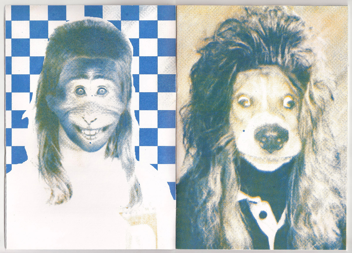 Les Animioches