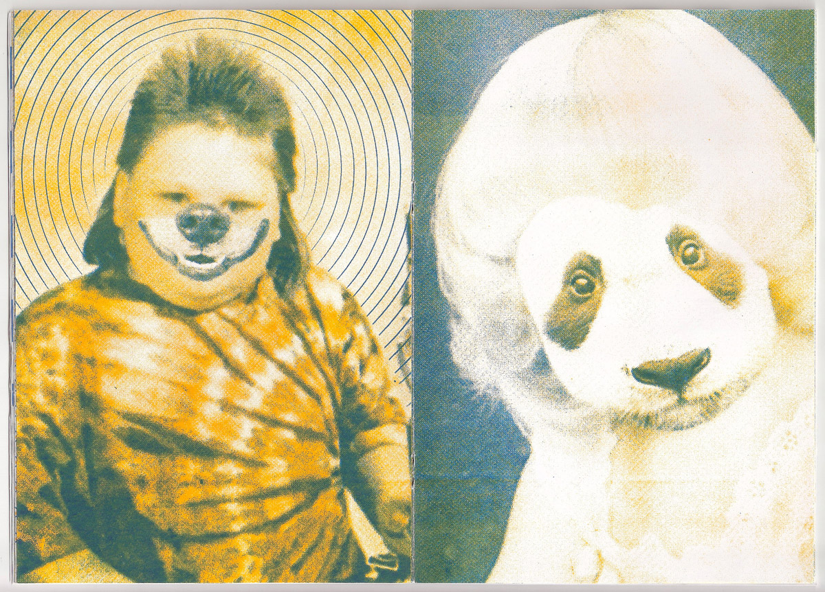 Les Animioches