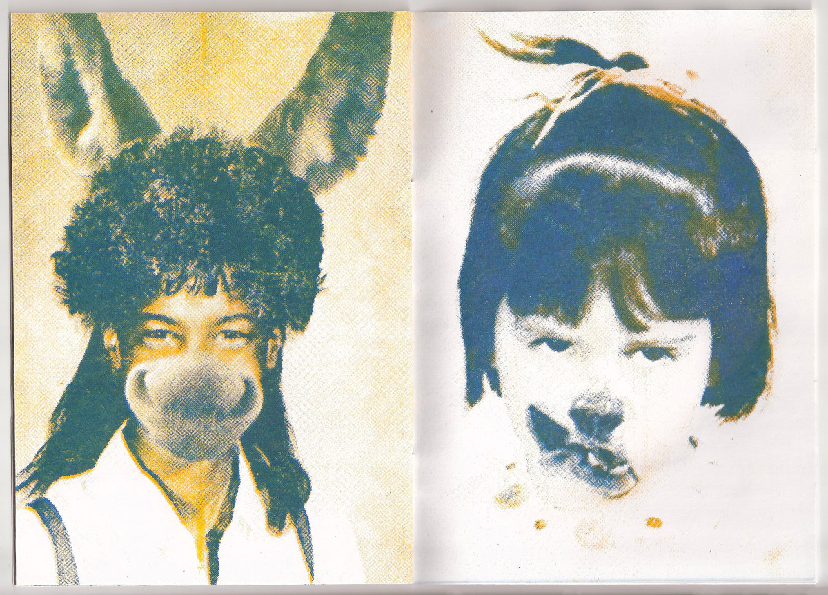 Les Animioches