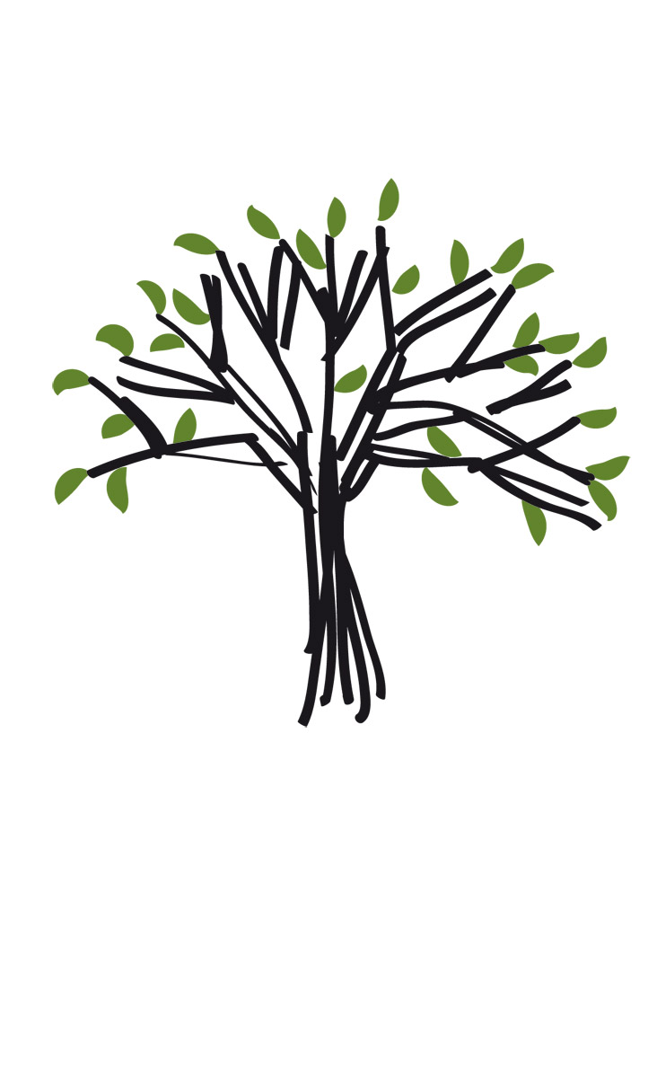 Logo et carte de visite pour Antoine Porcher - jardinier