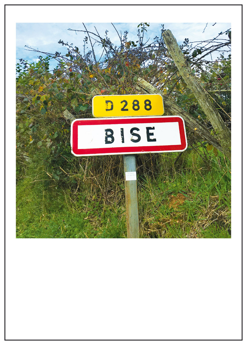 Bise