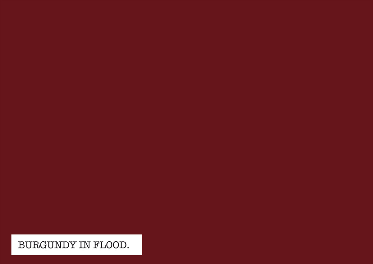 Burgundy in flood